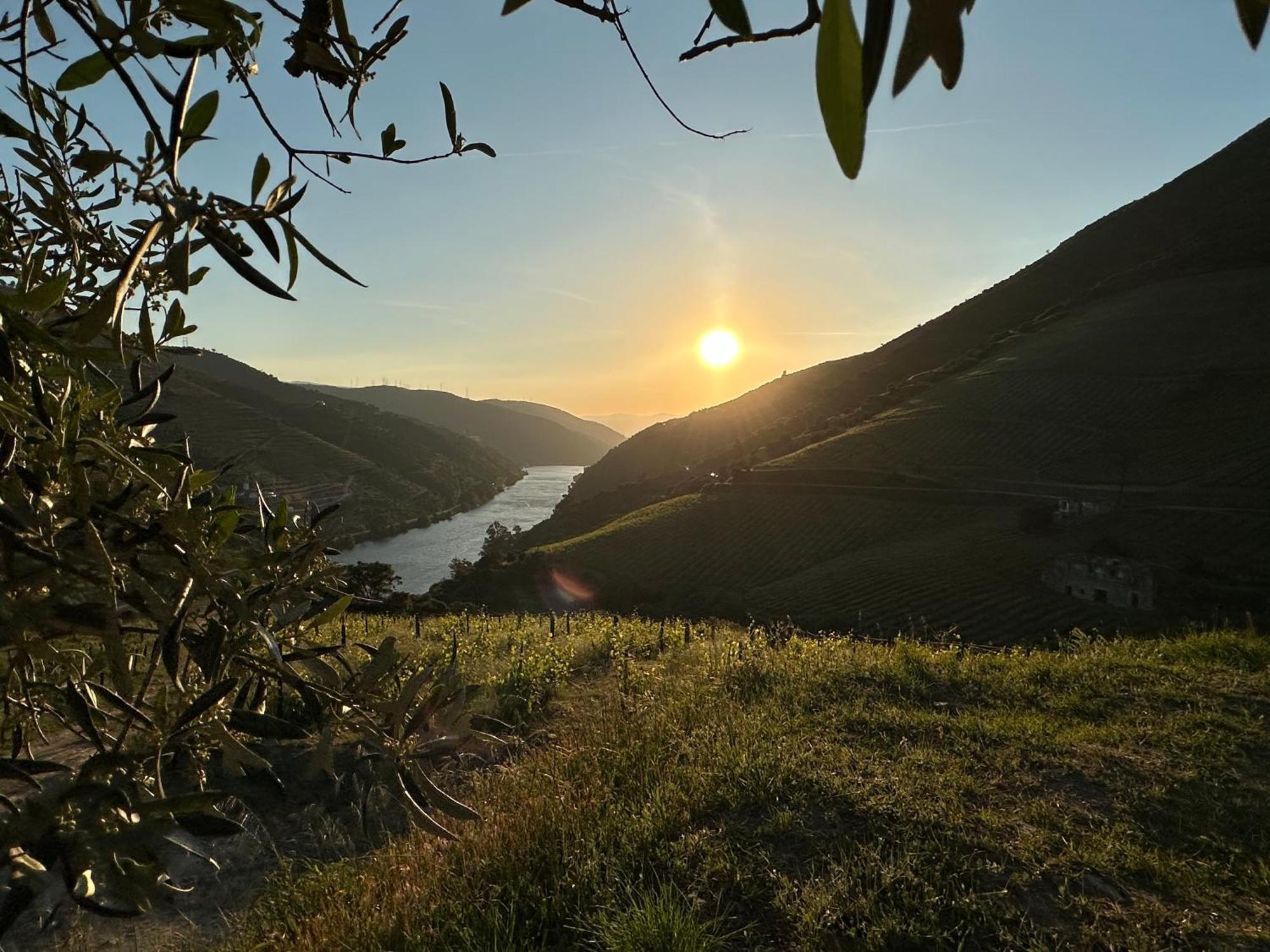 פסו דה רגואה Pmdourovalley מראה חיצוני תמונה